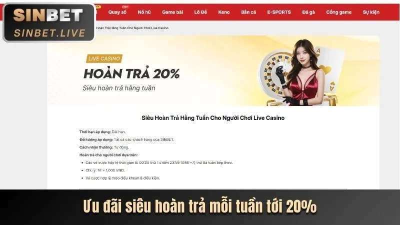 Hoàn trả tiền thua hàng tuần tại thabet trang chủ chính thức